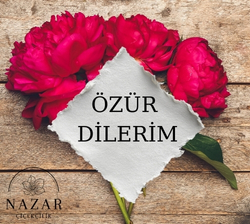 Özür Dilerim Çiçek Notları